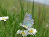 229716 – Photo : coste victor – France (49)