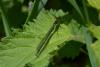 229861 – Photo : Patrick ORVANE – France (02)