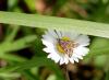 229841 – Photo : JP LUCIO – France (81)