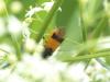 229930 – Photo : Florian ALONSO – France (69)