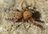 229526 – Photo : Christian Berquer – France (26)