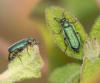 229703 – Photo : éric Pensa – France (13)