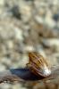 23845 – Photo : Magalie Mazuy – France (84)