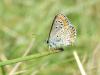 23765 – Photo : Mael Garrin – France (65)