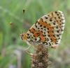 23092 – Photo : Michel Ehrhardt – France (38)