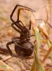 23001 – Photo : basc – France (20)
