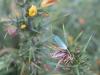 23858 – Photo : Mael Garrin – France (22)