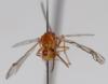 230794 – Photo : Arthropa - Benoit Martha – France (71)