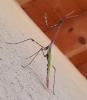 230073 – Photo : Djoul – France (20)