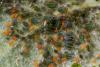 230981 – Photo : Pierre Duhem – France (75)