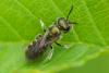 230911 – Photo : Olivier Pouvreau – France (86)