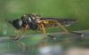 230960 – Photo : Guénael Hallart – France (02)