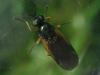 230958 – Photo : Guénael Hallart – France (02)