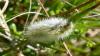 230536 – Photo : Greenlife – France (01)