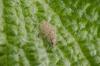 230759 – Photo : Fabricius – France (13)