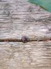 230225 – Photo : Anonyme – France (84)