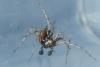 230213 – Photo : florent besson – France (18)