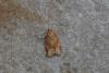 230819 – Photo : Matthias Colin – France (94)