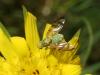 230738 – Photo : Matthieu Gauvain – France (77)