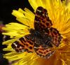 230556 – Photo : Catherine Reymonet-Smitten – France (19)