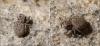 230444 – Photo : Marc ERARD – France (20)