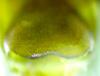230875 – Photo : JC Bartolucci – France (47)