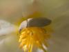 230604 – Photo : BourrinOman – France (83)
