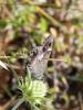 230660 – Photo : florent besson – France (84)