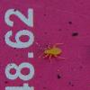 231498 – Photo : Brigitte Ulmer – France (47)