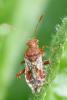 231311 – Photo : Didier Houbrechts – Belgique