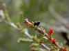 231771 – Photo : Maria Justamond – Royaume-Uni
