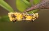 231513 – Photo : Yoann Pelouard – France (21)
