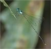 231871 – Photo : Benoit Guillon – Vietnam