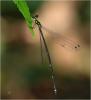 231872 – Photo : Benoit Guillon – Vietnam