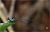 231869 – Photo : Benoit Guillon – Vietnam