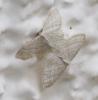 231484 – Photo : Daniel Philippe – France (47)