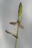 232626 – Photo : Michel Renou – France (91)
