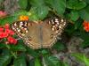 232780 – Photo : Didier Levasseur – Thaïlande