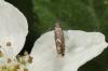 232775 – Photo : Fabricius – France (83)