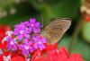 232160 – Photo : alain Roujas – France (31)