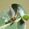232091 – Photo : Valentin SENDAT – France (34)