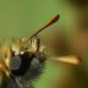 232935 – Photo : Pixoup – France (33)