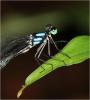 232656 – Photo : Benoit Guillon – Vietnam