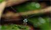 232657 – Photo : Benoit Guillon – Vietnam