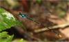 232654 – Photo : Benoit Guillon – Vietnam