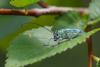233834 – Photo : Pierre Duhem – France (91)