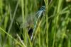 233894 – Photo : florent besson – France (18)