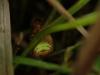 233036 – Photo : Matthieu Gauvain – France (12)
