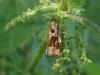 233196 – Photo : Matthieu Gauvain – France (51)