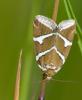 233391 – Photo : Roland Seitre – France (64)